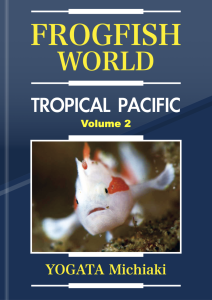 比較用サンプルPDF(修正後)